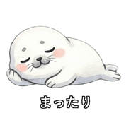 842763808