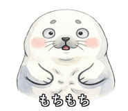 842763811