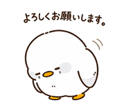 842763824