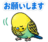842764349
