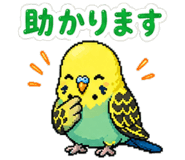 842764354
