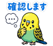 842764355