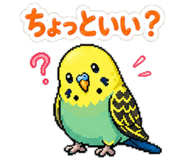 842764356