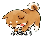 842765038