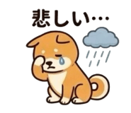 842765112