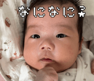 842765165