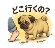 842765591