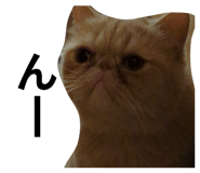 842765862