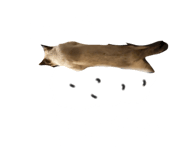 842766145