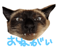 842766147