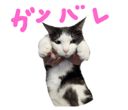 842766148
