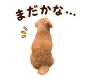 842766239