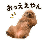 842766240