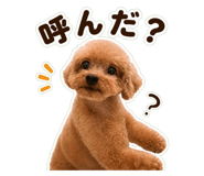 842766249