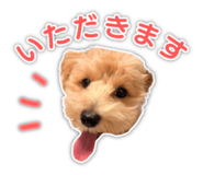 842766381