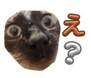 842766574