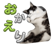 842766577