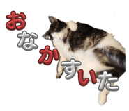 842766582