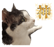 842766583