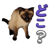 842766586
