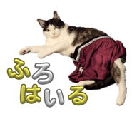 842766598