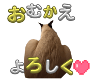 842766600