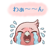 842766771