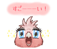 842766776