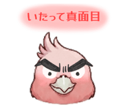 842766786