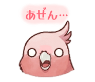 842766792