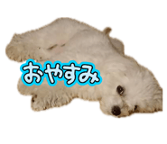 842766859