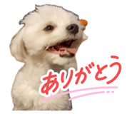 842766866