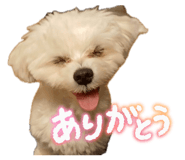 842766867