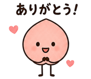 842766962