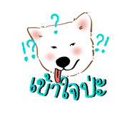 842768892