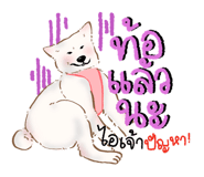 842768893