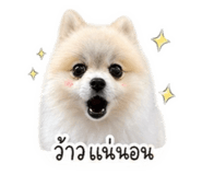 842769634