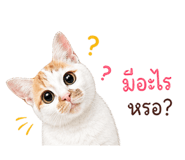 842769984