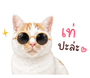 842769997
