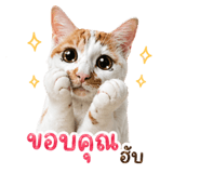 842770000