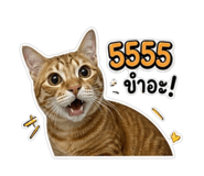 842770512