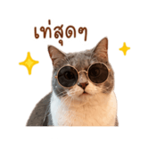 842771763