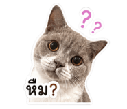 842771888