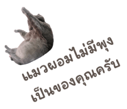 842772960