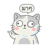842773135