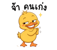 842773211