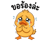 842773233