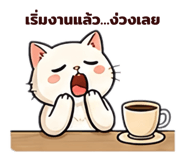 842773243