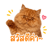 842773505