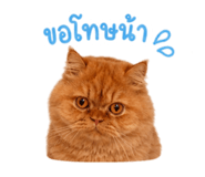 842773511